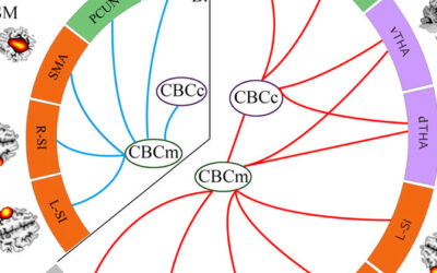 The Genetic Predisposition to Schizophrenia