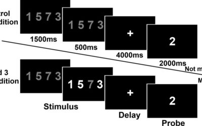 The mental workspace in schizophrenia