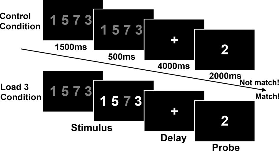 The mental workspace in schizophrenia