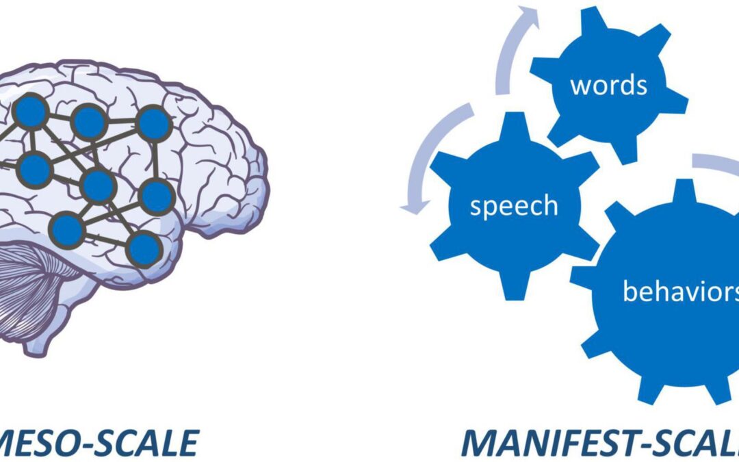 Advanced brain imaging to study psychosis